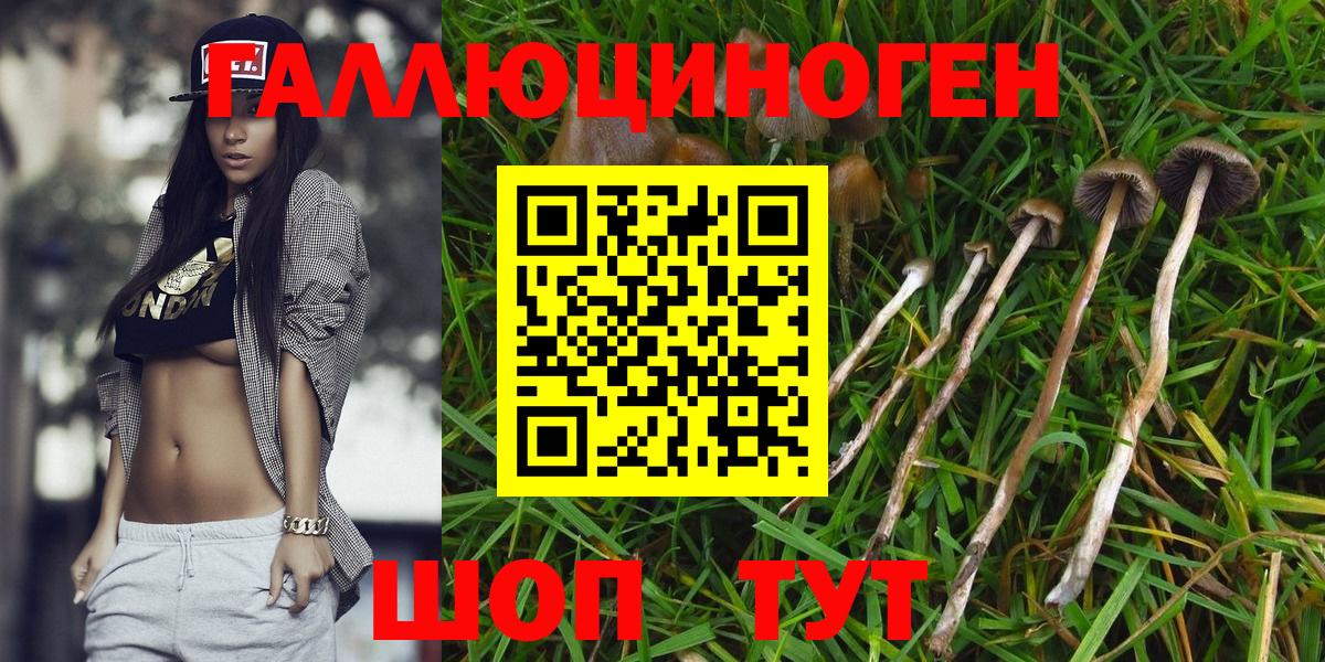 Нарьян-Мар  Псилоцибиновые грибы мицелий  Вход с VPN 